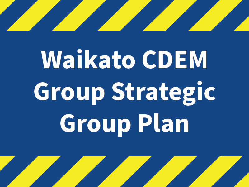 Strategic Group Plan 2025-2030